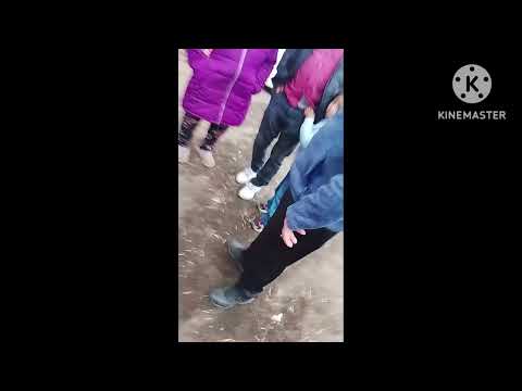 Aquí en las armadas fiestas patrias Tucapel chile región bio bio 