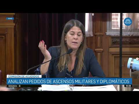 SDORA. GUADALUPE TAGLIAFERRI 2 - COMISIÓN DE ACUERDOS 27-06-24