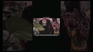 Download lagu Story wa pasangan PSHT dan IPSBII mp3 Download lagu Story wa pasangan PSHT dan IPSBII mp3