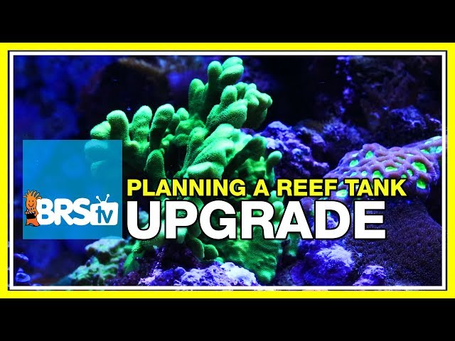 Week 52: Planning a reef tank upgrade, plus a look back at the BRS160 | 52 Weeks of Reefing #BRS160