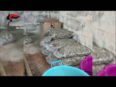 Paderno Dugnano (MI), scoperto bunker sotterraneo per la coltivazione della marijuana