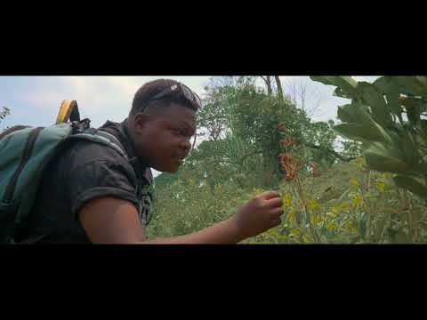 Sounds Of Zephy Official Video