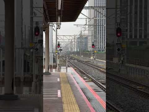 Train coming in platform Sazanami
