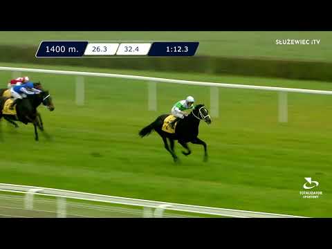 Nagroda Nemana - (Kat.B) 06.11.2022 - (Dzień 44; Gonitwa 2)