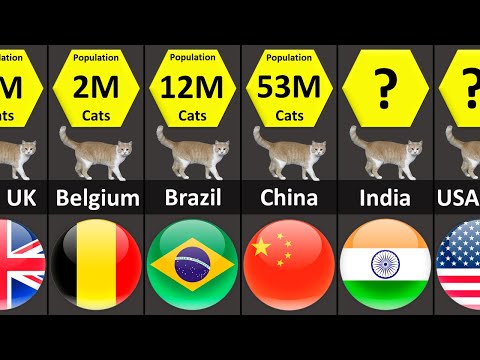CAT Population by Country
