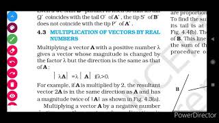 4.3 Multiplication of a vector by a real number