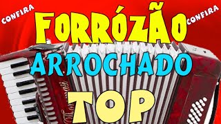 Forrózão ARROCHADO TOP, xote, vanerão, nerão, brasilian, melody, HITS, song show, mix
