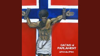 Rasist På Ål Stasjon