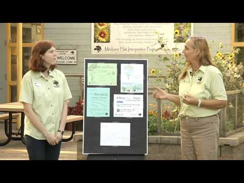 Police Point Park - Jade Scherger