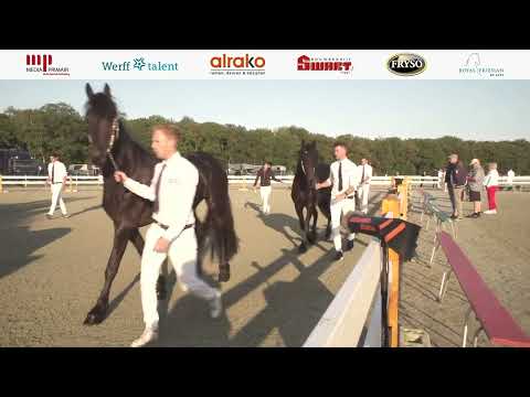 Fokdag | It Fryske Hynder | 17 augustus 2024