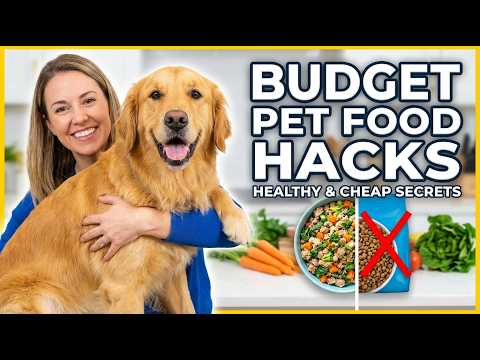Healthy Pet Food on a Budget Save Money & Improve Your Pet’s Diet!