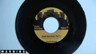 Funkshone - Soul Survivor Pt.1.