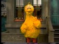 Sesame Street Big Bird Wants To Sing His Favorite Song