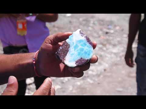 Special Guest Herman | Saturday 29th August