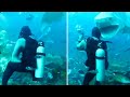 If You're Scared of Sharks, DON'T Watch This Video!