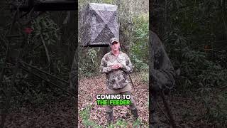 Lessons Learned | Changing Up My Deer Stand Location