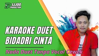 Download lagu KARAOKE DUET BIDADARI CINTA- TANPA VOCAL CEWEK || VERSI SLOWDUT || IJJOO PRODUCTION mp3