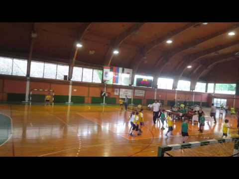 Školica rukometa Smederevo