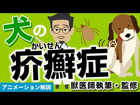 硫黄を使った犬の疥癬の家庭薬