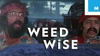 Does Cannabis Kill Brain Cells? - Weedwise