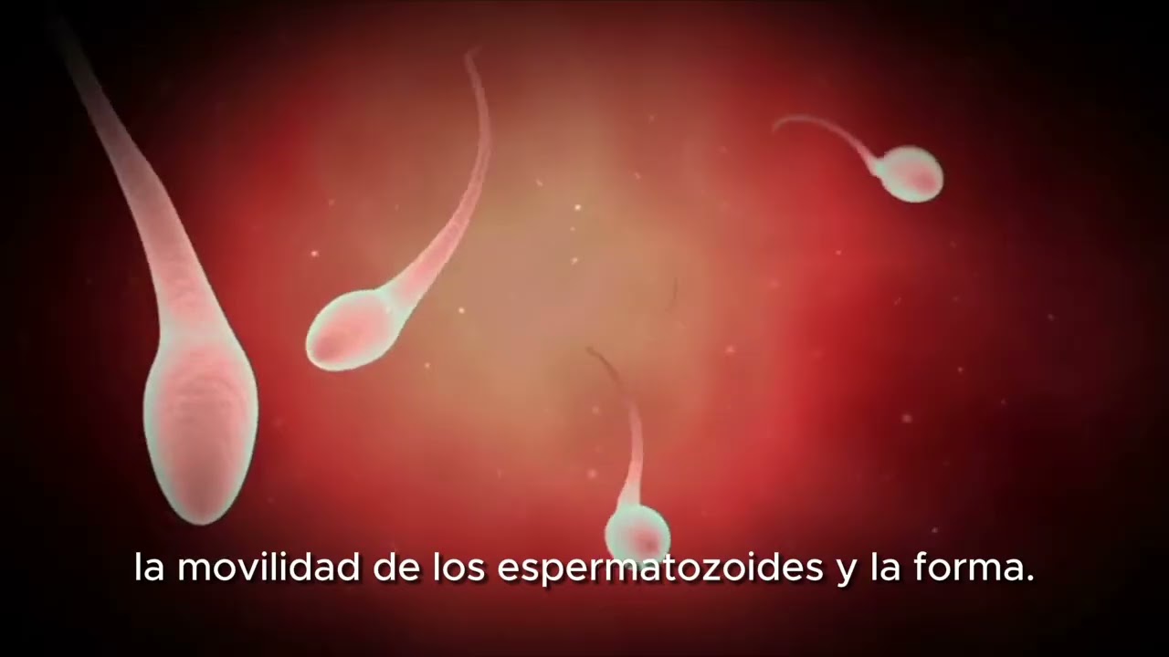 Elena Aguilar Segovia-42