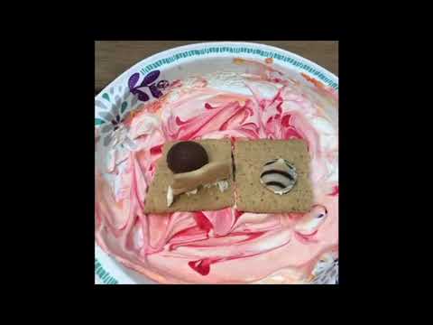 Graham Cracker Plate Tectonics!