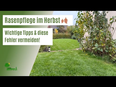 Rasenpflege im Herbst 🍂 | Wichtige Tipps & Fehler, die du im Herbst vermeidest solltest