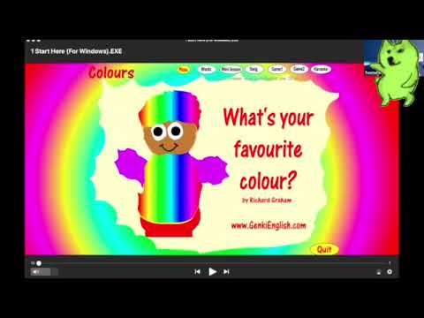 Video Sample