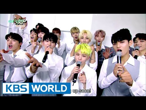 SEVENTEEN is back!!!!! [Music Bank / 2017.05.26]