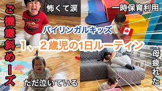 【1日ルーティン】一時保育/1歳0ヶ月と2歳10ヶ月/バイリンガルキッズ/子育て/カナダ