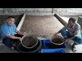 Loka Riset Budidaya Ikan Hias Air Tawar Depok