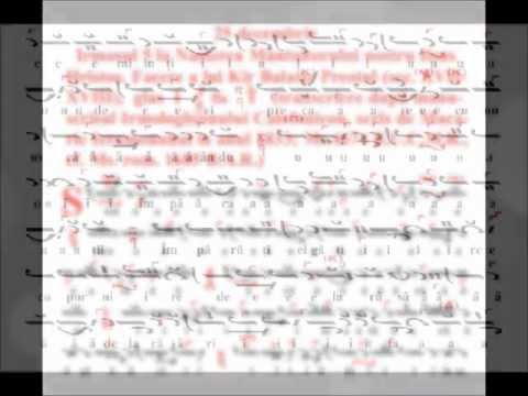 Stea, iată, a răsărit – Nectarie Protopsaltul