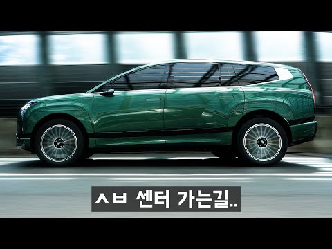 팰리세이드 타다, 결국 아이오닉9 샀습니다