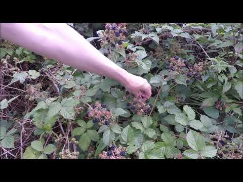 Überraschungswanderung bei #Langenberg