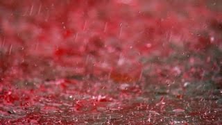 Mysterious Blood Rain of 21st Century in India. Scientists are still trying to figure it out.