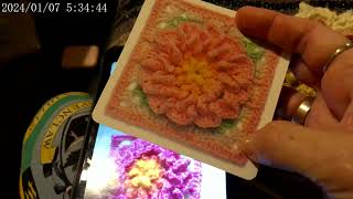 busty bloom granny square