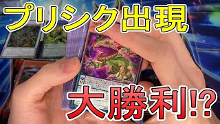 ついにプリシク出現！！【ディメンションフォース】開封動画