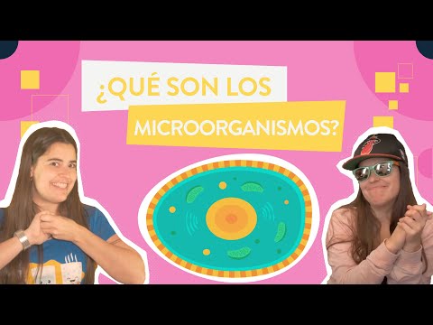¿Qué son los MICROORGANISMOS?