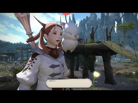 FFXIV : WHM Lv58 Trials of the Padjals