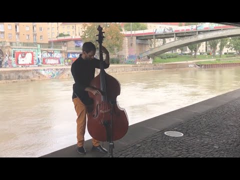 Lukas Kranzelbinder - In Motion -  Double bass - "Pain, Peace, Patience" Collection