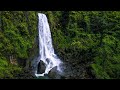Waterfalls Sounds White Noise for Sleeping or Studying 10 Hours