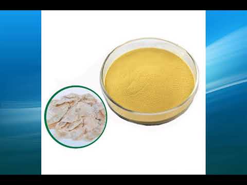 Oroxylum Indicum Extract Powder
