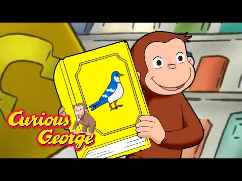 Please Read this Book! 🐵 Curious George 🐵 Kids Cartoon 🐵 Kids Movies