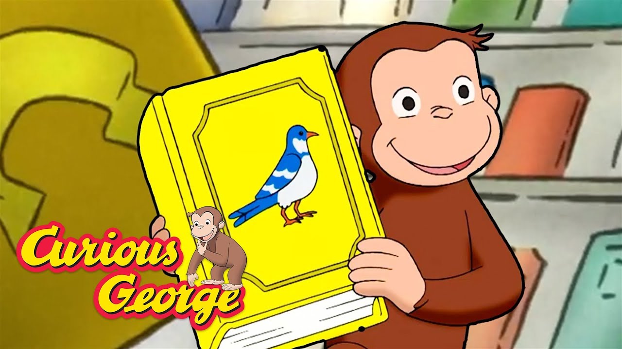Please Read this Book! 🐵 Curious George 🐵 Kids Cartoon 🐵 Kids Movies