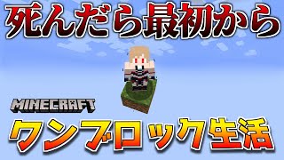 【Minecraft】死んだら最初から！？ワンブロックから家を建てたい！【にじさんじ】