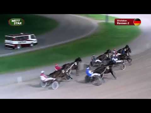 Traber Amel Start am 17.11.2022  ( 3. Platz ) in Dinslaken