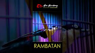 Download lagu Rambatan Doraemon Gacir mp3