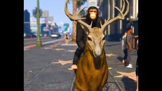 GTA V KSOL - Perfect day for a fight