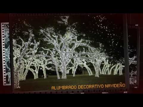 Multiserna alumbrado