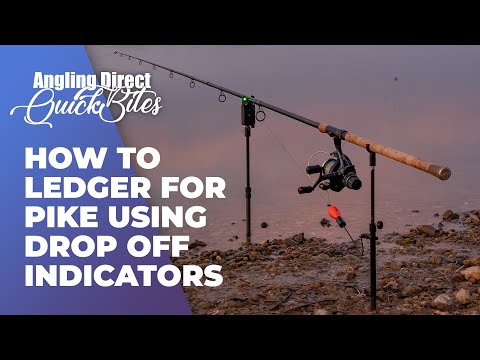 How To Ledger For Pike Using Drop Off Indicators - Predator Fishing Quickbite
